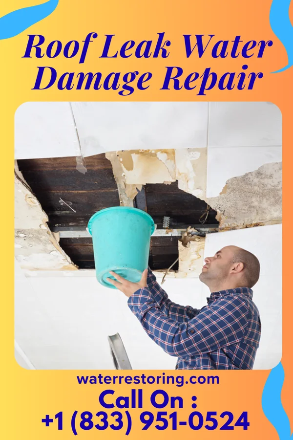 Roof Leak Water Damage Repair in Chandler, AZ
